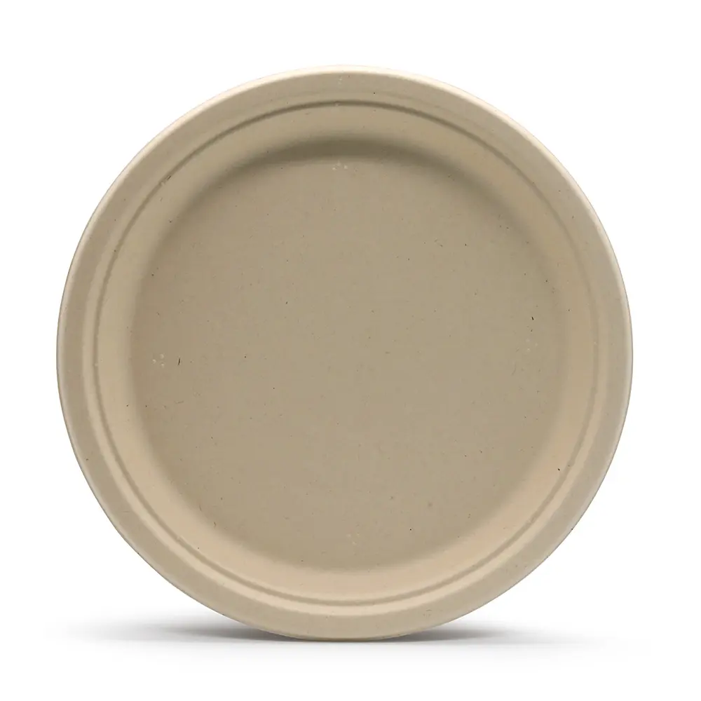 LuzhouPack Custom Best Quality 10 Inch Compostable Bagasse Plates Disposable ECO Friendly Sugarcane Food Container