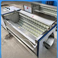 Industriële milieuvriendelijke 650W motor borstelrol wasmachine voor het reinigen van fruit en groenten in de voedingsmiddelen- en drankenindustrie
