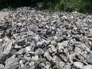 Hitam putih venin Seiryu batu akuarium lanskap mikro batu lanskap - Product Image 3