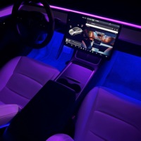 Kit de Luces Ambientales RGB con Alimentación USB para Tesla Model 3/Y, Tiras de Luces LED Interiores Controladas por Aplicación
