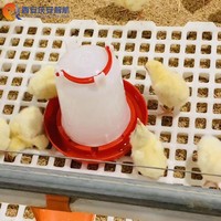 Prix de gros usine QZH – Équipement avicole haute résistance, sol en plastique à lattes pour poulailler, blanc, garantie 1 an