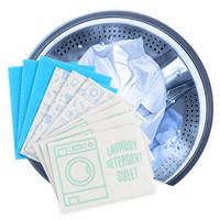 Tablettes de lessive solides à faible mousse OEM, feuilles de lessive sans plastique, emballage dissolvable pour vêtements