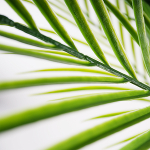 Palmiers tropicaux artificiels d'intérieur et d'extérieur en plastique pour la décoration de bureaux à domicile et de cafés Vente en gros livraison rapide - Product Image 3