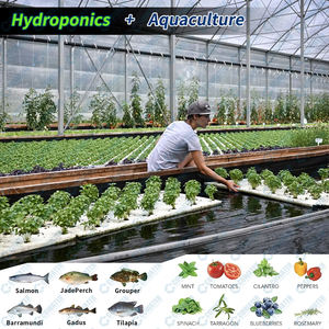 Sistema Aquaponia Cowater Hidroponia de Piscicultura interior Sistema Aquaponia Alface e Tilápia Sistema Aquaponia Vegetais - Product Image 4