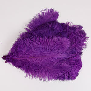 卸売 16-18インチ ダチョウの羽 明るい色 染色済み 工芸品 パーティー＆フェスティバル 結婚式装飾用 各種カラー - Product Image 2