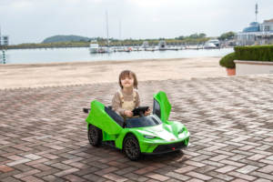 液压剪刀门12v 4. ah电动汽车差速器<span class=keywords><strong>3</strong></span>速调节<span class=keywords><strong>3</strong></span>颜色可选择带CE证书 - Product Image 3