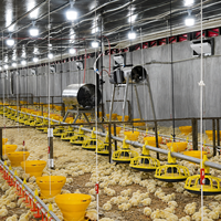 Équipement d'éleveur automatique de canards de chair Mangeoire d'alimentation domestique Élever du poulet en croissance Système de plancher de volaille Machines de ferme pour poulets
