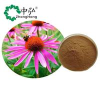 Extrait de Poudre d'Échinacée Purpurea (4% Acide Chicorique, Polyphénols Végétaux) Qualité Alimentaire, Conditionné Sous Vide dans un Récipient en Verre