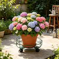 Plateaux de rangement modernes en fer, support pour plantes, noir, imperméable, écologique, durable, pour la maison, le salon, la cour, le restaurant, décoration