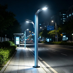 ไฟสนามอลูมิเนียม LED คุณภาพสูงแบบส่องขึ้นลง สำหรับภายนอกอาคาร เหมาะสำหรับสวนในเมือง สวนสาธารณะ วิลล่า และเสาไฟถนน LED สำหรับตกแต่งภูมิทัศน์ - Product Image 1