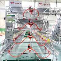 Nouvelle Conception de Petite Cage à Poulets pour l'Élevage et l'Éclosion des Poussins avec Acier Inoxydable Q235 et Conception Agricole Gratuite