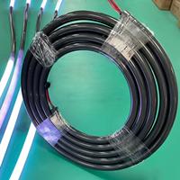 Rgbw 24v Noir 360 °   Tube néon flexible en silicone LED RGBW ADJUSTRABLE SPI pour festival, noir, flexible à 360°