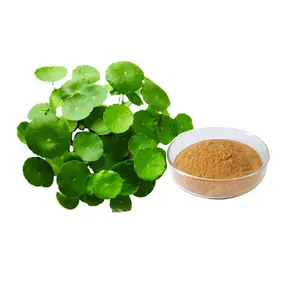 Supply High Quality Free Sample Centella Asiatica Extract Powder On Sale