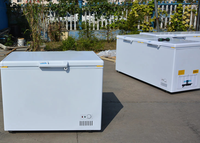 Congélateur coffre horizontal grande capacité WKN 2 portes à froid direct, température unique, N-ST Climate, excellente qualité, en promotion