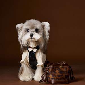 <span class=keywords><strong>2026</strong></span> Sonbahar Kış Modası Köpek Evcil Hayvanı Yakışıklı Deri Etek Elbise - Product Image 5