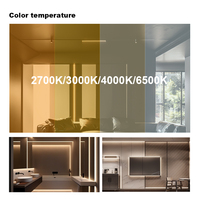 Bande LED COB sans couture, sans points noirs - Longue durée de vie, haute efficacité lumineuse, courant constant, 480 LED/m, multi-CCT, DC24V, >100LM/W