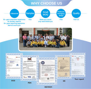 Penjualan Terbaik ekonomis Harga organik Panty Liner Super perempuan tahan air antilembap Anion kapas pembalut pembalut bantalan - Product Image 6