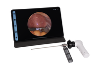 Caméra endoscopique vétérinaire sans fil 1080P pour endoscope rigide avec batterie Li-Ion pour diagnostic ORL
