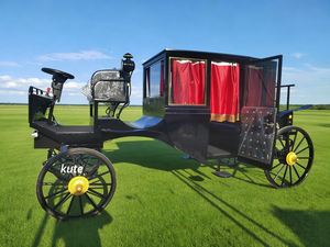 Meilleures ventes : Carrosse royal victorien personnalisé pour le transport de chevaux, véhicule utilitaire, carrosse à chevaux, à vendre - Product Image 3
