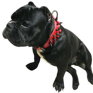 Collar de cuero con tachuelas para perros grandes, para <span class=keywords><strong>Pastor</strong></span> Alemán, mascarilla, Rottweiler, Bulldog - Product Image 2