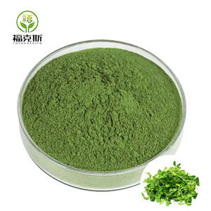 Muestra Gratuita de Polvo de <span class=keywords><strong>Alfalfa</strong></span>, Extracto de <span class=keywords><strong>Alfalfa</strong></span> de Grado Alimenticio, Polvo de <span class=keywords><strong>Alfalfa</strong></span> a <span class=keywords><strong>Precio</strong></span> de Mayoreo - Product Image 2