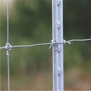 0.85lb/ft lumière Cloutés T Post sans chat aucune <span class=keywords><strong>peinture</strong></span> T Post pour clôture anti-érosion soutien - Product Image 6