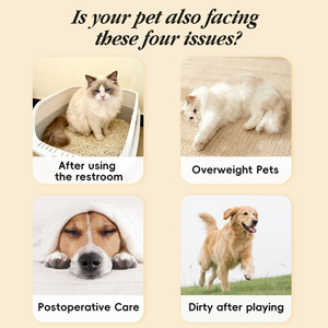 Toallitas Desechables para Glándulas Anales de Mascotas, 12 Unidades, Diseño de Dibujos Animados para Perros, Productos Prácticos para el Cuidado de Mascotas - Product Image 2
