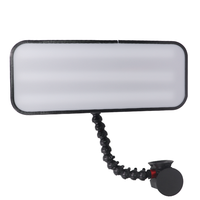 Lampe de détection de bosses de voiture à aspiration magnétique, lampe de nivellement pour réparation sans peinture, tube flexible en forme de serpent