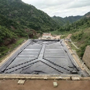 Geomembrana <span class=keywords><strong>de</strong></span> HDPE para Vertederos, Minería, Acuicultura, Embalses, Anti-Infiltraciones - Product Image 1