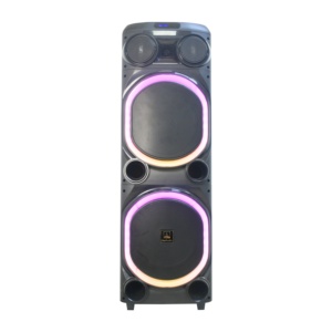Altavoz con Bocina de 12 Pulgadas, Gran Calidad TWS, con Micrófono Inalámbrico Dual para Exteriores - Product Image 5