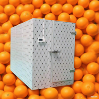 Conteneur frigorifique modulaire économique de Chine, conteneur congélateur mobile de 40 pieds, chambre de maturation pour viande, poisson et bananes