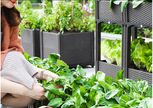 Jardinière carrée de grande taille, durable, ODM, avec trous de drainage, pour balcon, culture de légumes et de fleurs - Product Image 5