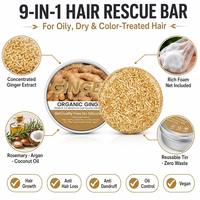 Shampooing Solide Artisanal au Gingembre Bio 60g Boîte Métallique Extrait Végétal Naturel Nourrissant le Cuir Chevelu Anti-Pelliculaire Sans Cruauté Végétalienne Végan OEM