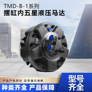 Moteur hydraulique interne à cinq étoiles de type engrenage, série Tly Troy Tmd B 1, pour usage industriel - Product Image 5
