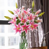 Künstliche Blumen 4-Köpfige Kabu-Lilie Dekorative Blume Wohnzimmer Tischdekoration Büro Verschönerung