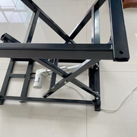 Table de salon, bureau d'ordinateur, table de bain pour animaux de compagnie, table élévatrice, avec télécommande sans fil électrique, fabriquée en usine OEM