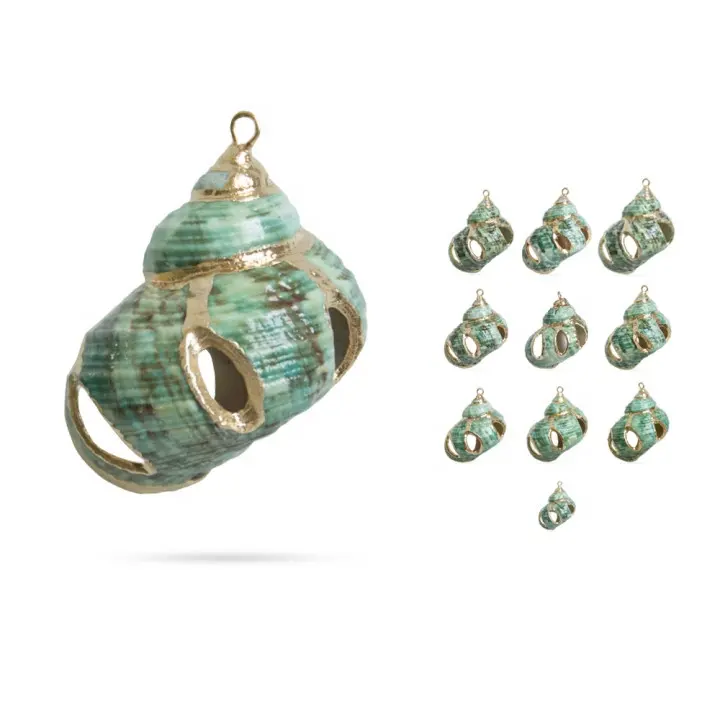 Conchas de mar en espiral de color verde Natural, accesorio de joyería hecho a mano, gran Stock, chapado en oro