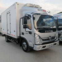 Camión de Carga Ligero Foton Aumark E 4x2, Camioneta Cerrada, Camión de Carga con Volante a la Izquierda/Derecha, Vehículo Comercial de Reparto para Transporte de Mercancías en Almacenes Urbanos