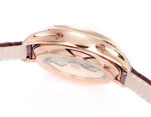 Nouvelle montre mécanique étanche pour hommes, montre de marque haut de gamme, montre décontractée et professionnelle - Product Image 3