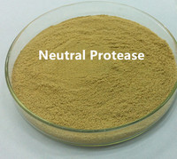 Meilleur prix pour le fabricant d'enzyme protéase neutre en Chine