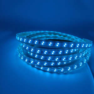 IP67 Étanche Extérieure Corde Lampe Parc Garden Party Éclairage <span class=keywords><strong>Location</strong></span> Pixel Dur ultra Mince 6mm 10mm 72D Led Bandes Lumineuses - Product Image 3