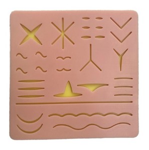 Set di 22 Strumenti in Acciaio Inossidabile per Studenti di Medicina, Aghi Anatomici, Attrezzature Sperimentali, Sonde, Forbici, Pinzette, Kit per Dissezione - Product Image 5