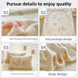 <span class=keywords><strong>Autunno</strong></span> inverno Set di tre pezzi uso domestico federa di flanella caldo corallo in pile lenzuolo con gonna da letto - Product Image 5