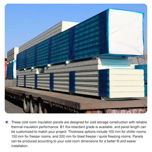 ポリウレタンPU断熱パネル 冷蔵室パネル 冷蔵倉庫建設用 モジュール式壁天井システム - Product Image 4