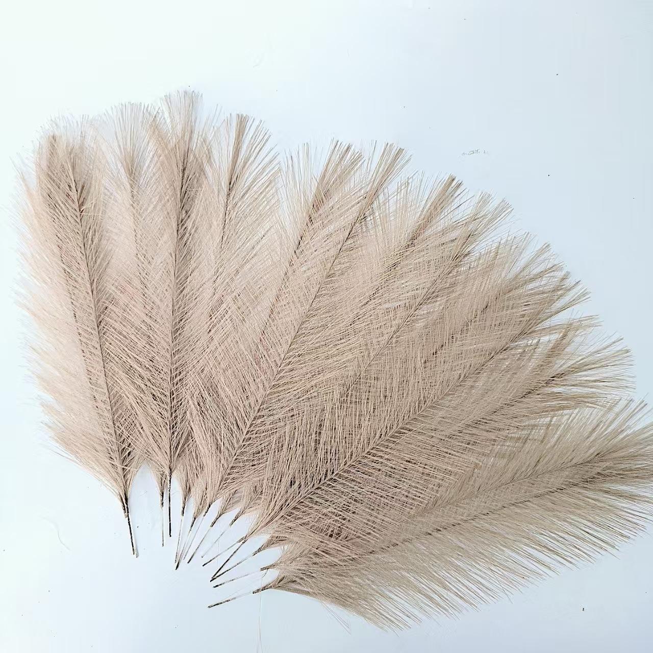 สีน้ำตาล