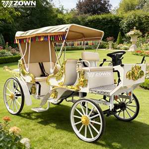 Charrette électrique vintage personnalisée à 4 roues, design sur mesure pour mariages et visites d'expositions - Product Image 1