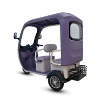 Triciclo Eléctrico para Adultos de Alta Calidad en Oferta, con Cabina Abierta, Tres Ruedas, Triciclos de Ocio de 3 Ruedas para Adultos