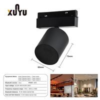 Rail magnétique pour éclairage et haut-parleur LED COB, noir et blanc, pour système audio multi-pièces, plafond, maison, hôtel, usage commercial
