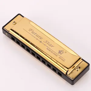 high quality 10 hole Blues harmonica with Stainless Steel Cover Plate