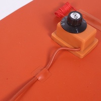 Plaque chauffante en caoutchouc silicone flexible personnalisée avec thermostat 220V/DC 12V pour usage industriel haute température